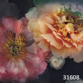 Macro