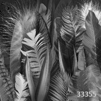 Feathers and leaves